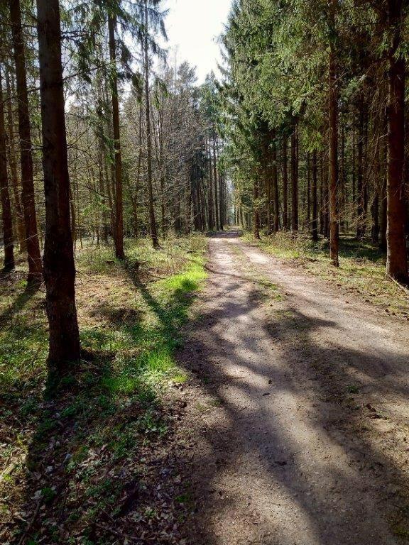 Willa Domek Z Bala Mazury Orzyny Zewnętrze zdjęcie